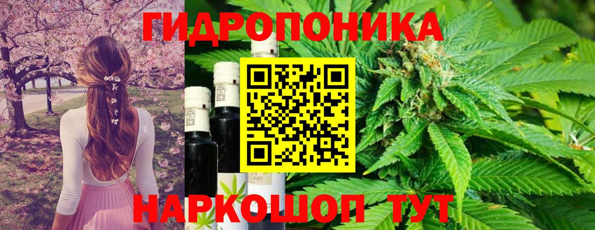 Канабис AK-47  Канабис White Widow  Вход с VPN  Нарткала  Шишки марихуана ГИДРОПОН  МАРИХУАНА ГИДРОПОН 